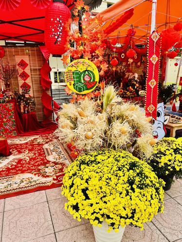 Chẳng cần đ&agrave;o mai tiền triệu, chị em rủ nhau cắm thứ "nh&agrave; qu&ecirc;" n&agrave;y: Đẹp sang chảnh, b&agrave;y ban Thần T&agrave;i h&uacute;t lộc, để 3 năm vẫn như mới!- Ảnh 11.