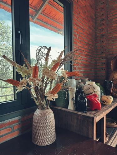 Chẳng cần đ&agrave;o mai tiền triệu, chị em rủ nhau cắm thứ "nh&agrave; qu&ecirc;" n&agrave;y: Đẹp sang chảnh, b&agrave;y ban Thần T&agrave;i h&uacute;t lộc, để 3 năm vẫn như mới!- Ảnh 3.