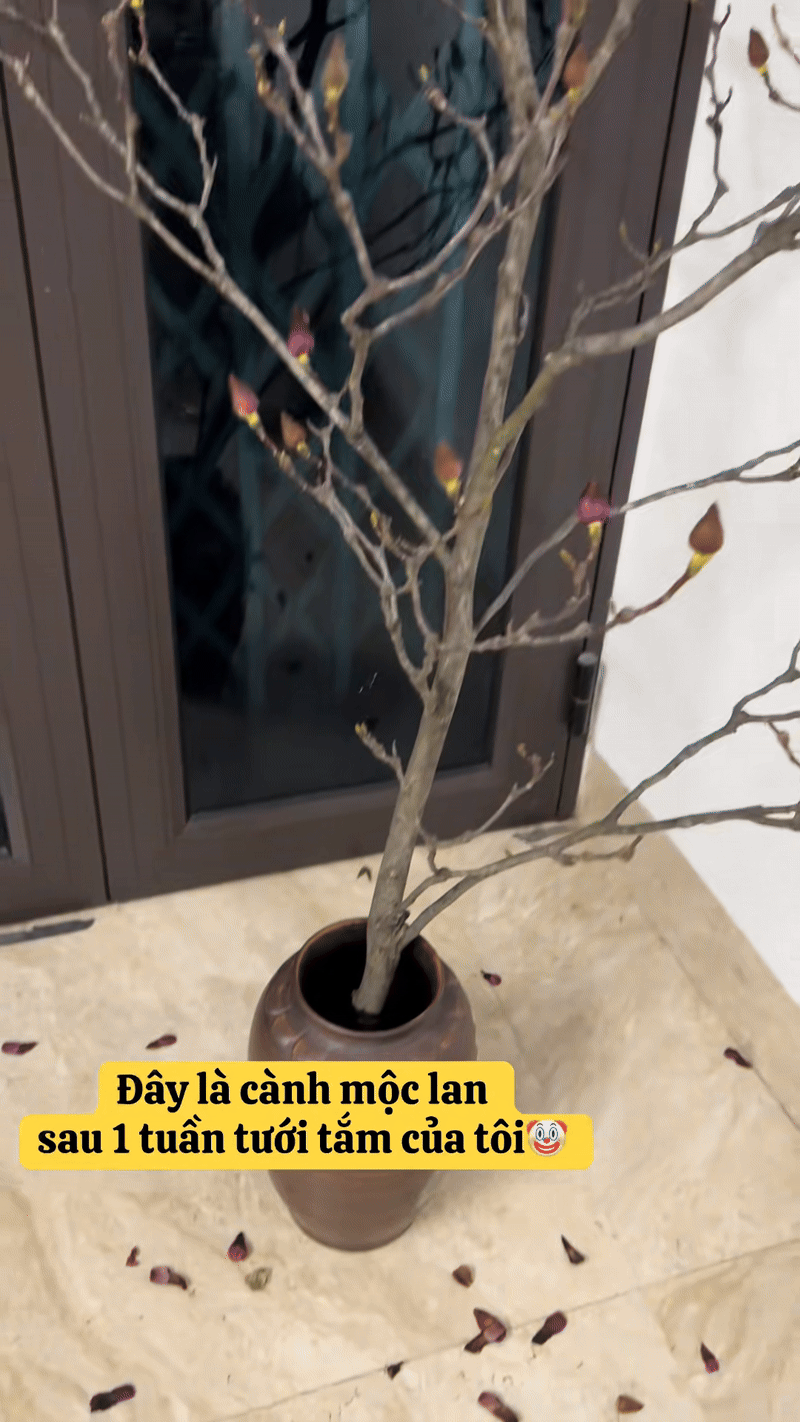 Bỏ tiền triệu m&agrave; vẫn 