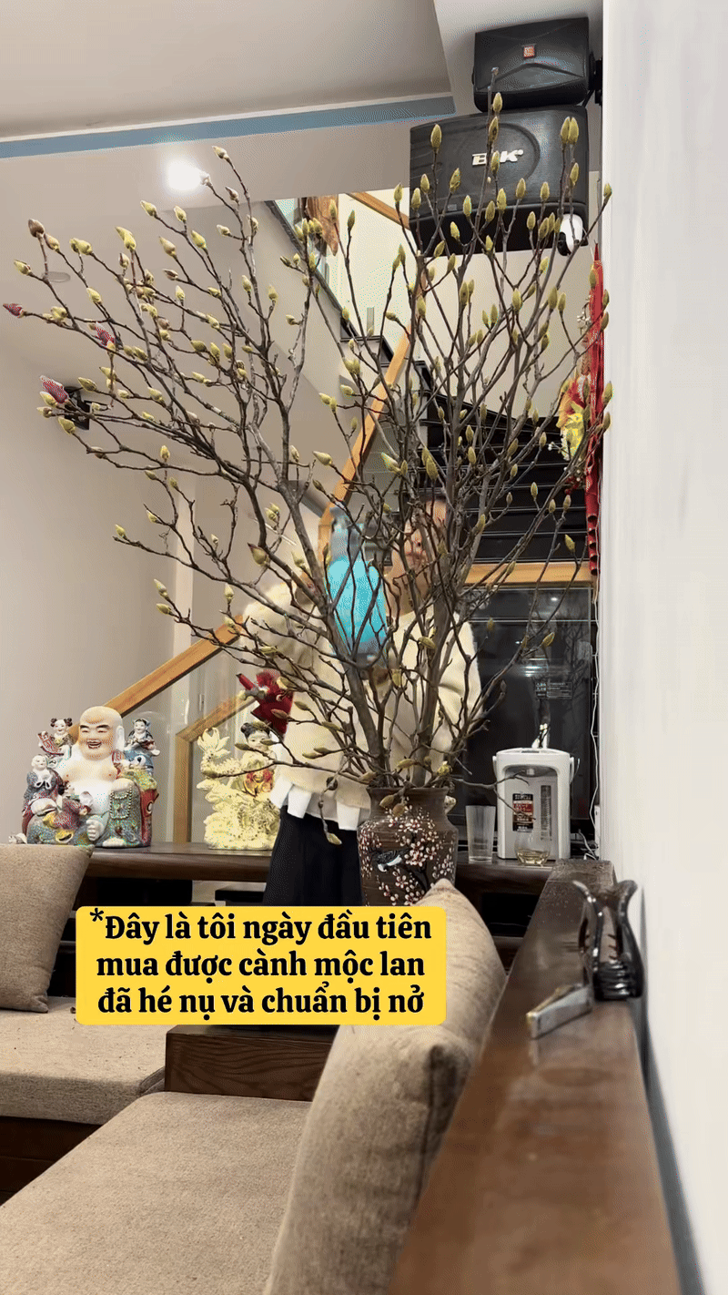 Bỏ tiền triệu m&agrave; vẫn 