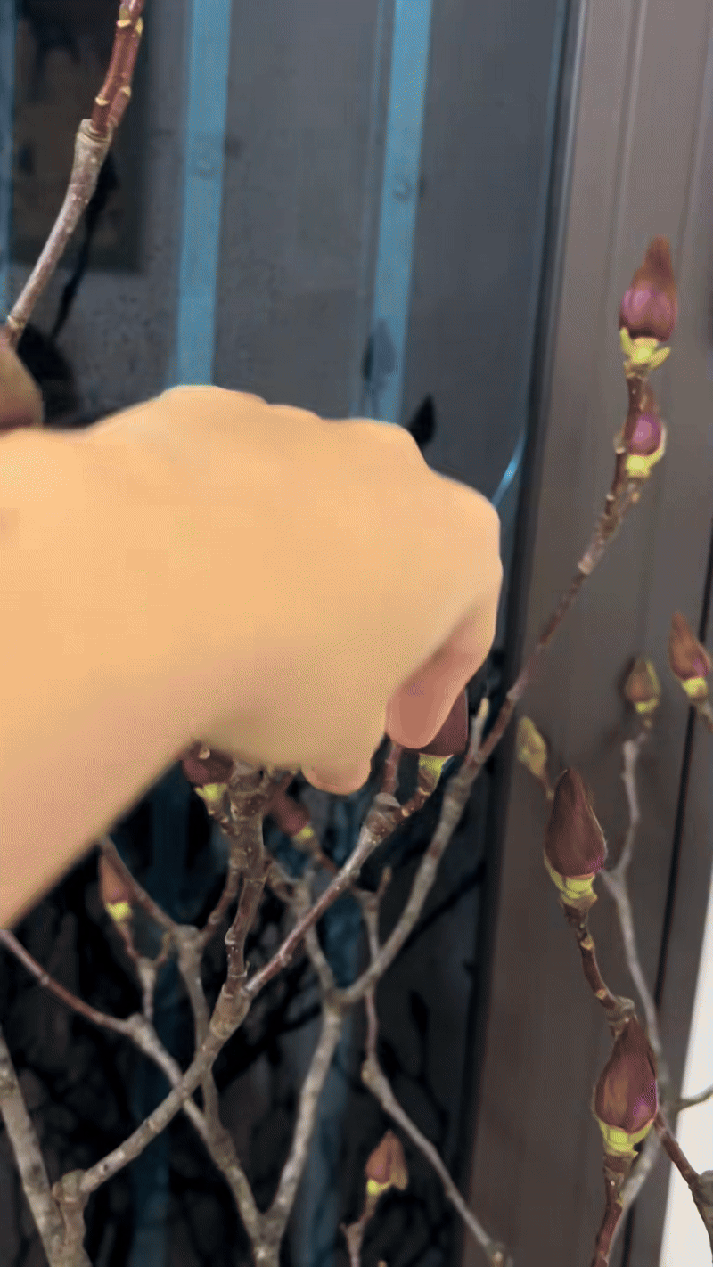 Bỏ tiền triệu m&agrave; vẫn 