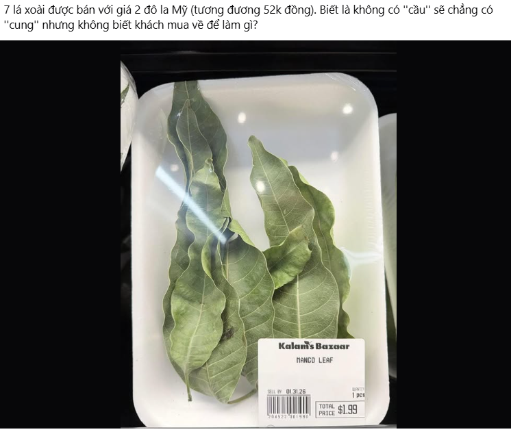 7 l&aacute; xo&agrave;i gi&aacute; 52.000 đồng ở Mỹ: Thứ bỏ đi ở Việt Nam lại th&agrave;nh h&agrave;ng b&aacute;n, người ta mua về l&agrave;m g&igrave;?- Ảnh 2.