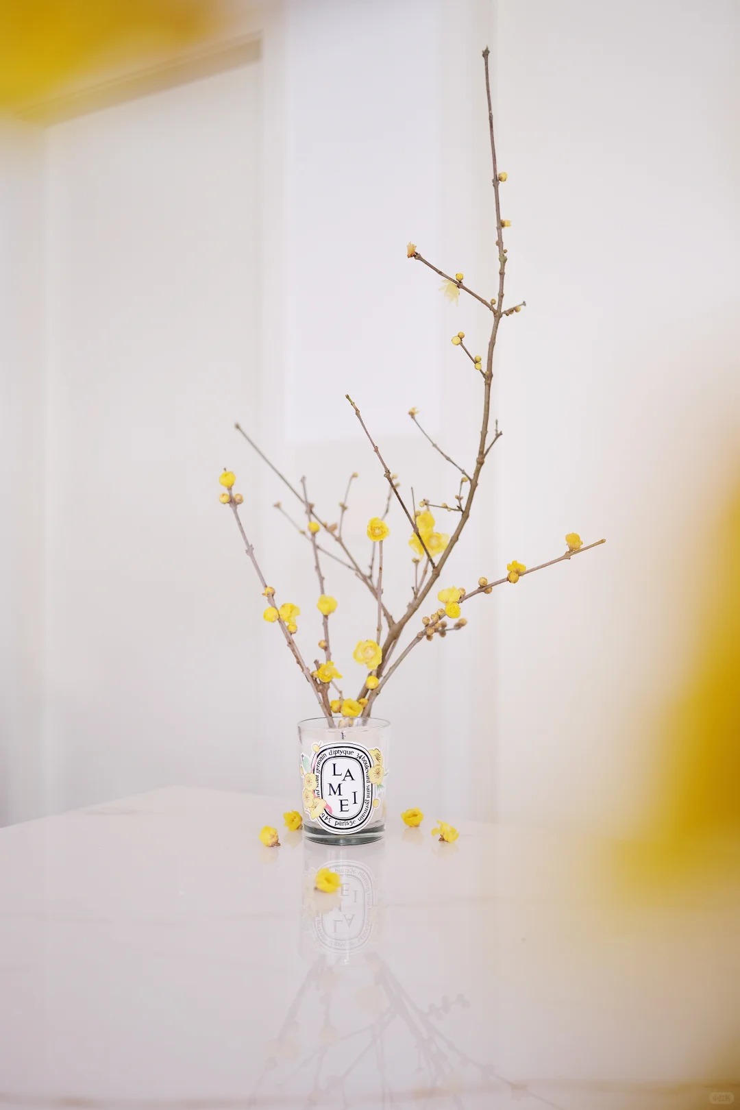 Tết 2026: Đừng chỉ cắm đ&agrave;o hay ly, thử ngay lo&agrave;i hoa "thơm thấu t&acirc;m can" n&agrave;y để ph&ograve;ng kh&aacute;ch vừa sang vừa vượng kh&iacute;, ngắm th&ocirc;i cũng thấy cả một vườn xu&acirc;n đắt gi&aacute;!- Ảnh 6.