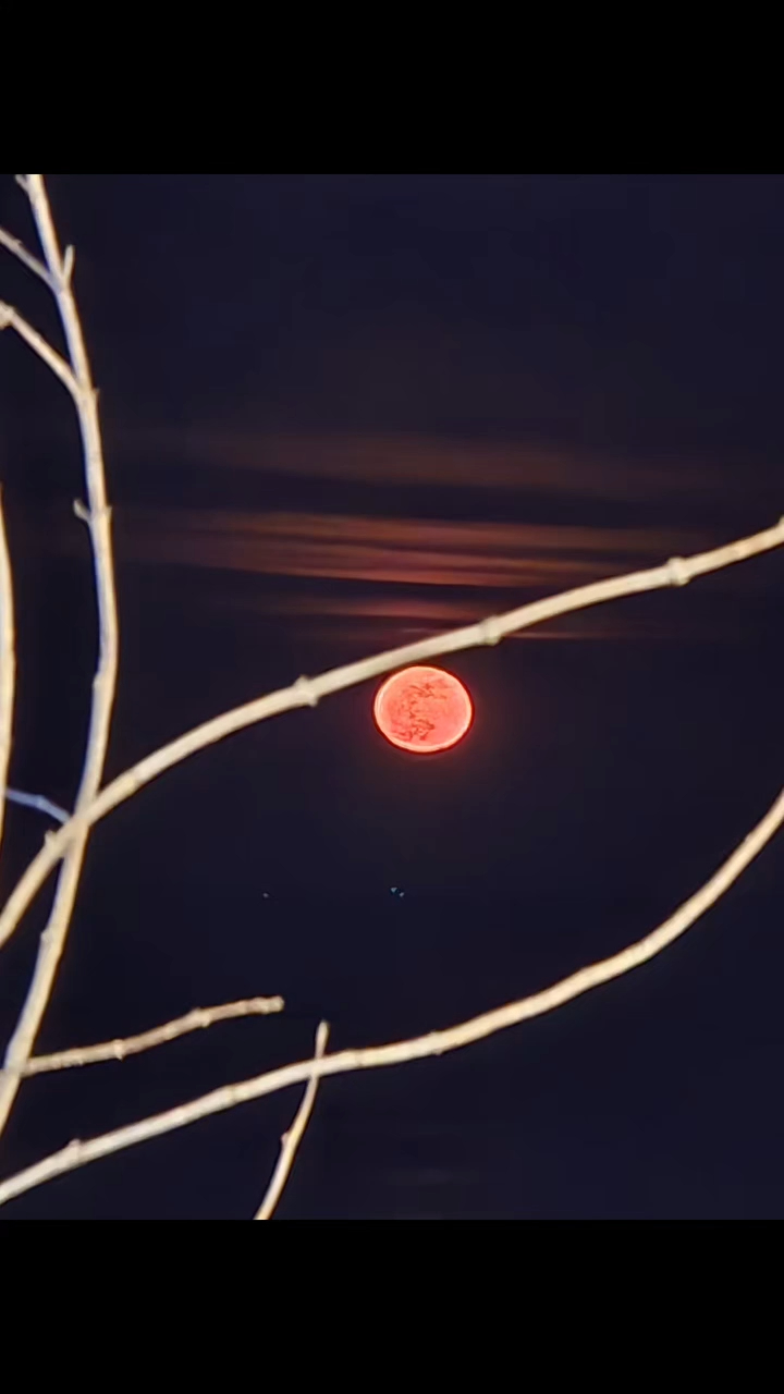 Sốc trước chi tiết lạ về cái chết của tài tử Cười Lên Dong Hae- Ảnh 3.