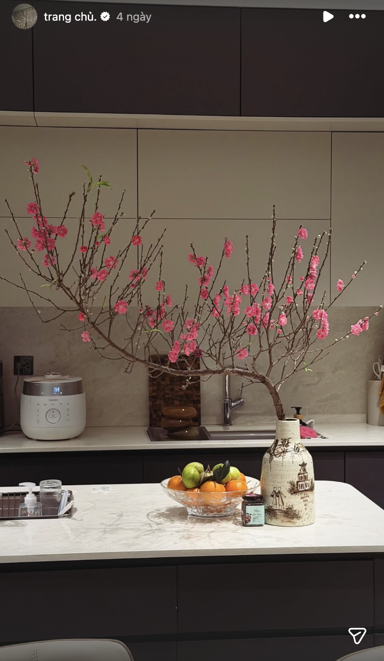 Biệt thự mấy chục tỷ của Đo&agrave;n Văn Hậu tr&agrave;n ngập sắc hoa đ&oacute;n Tết, tiểu thư Do&atilde;n Hải My kh&eacute;o chăm qu&aacute; đi!- Ảnh 9.