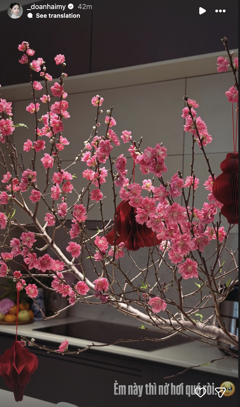 Biệt thự mấy chục tỷ của Đo&agrave;n Văn Hậu tr&agrave;n ngập sắc hoa đ&oacute;n Tết, tiểu thư Do&atilde;n Hải My kh&eacute;o chăm qu&aacute; đi!- Ảnh 4.