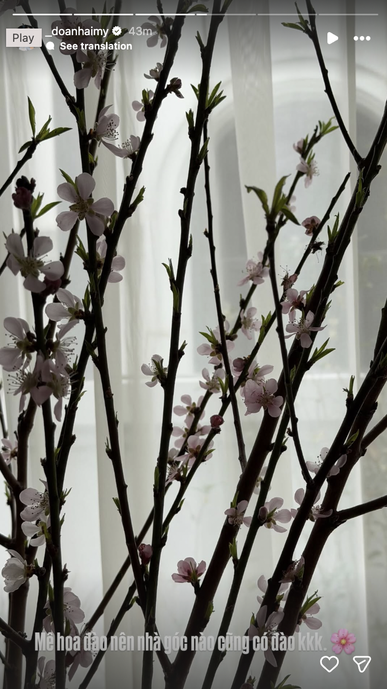 Biệt thự mấy chục tỷ của Đo&agrave;n Văn Hậu tr&agrave;n ngập sắc hoa đ&oacute;n Tết, tiểu thư Do&atilde;n Hải My kh&eacute;o chăm qu&aacute; đi!- Ảnh 5.