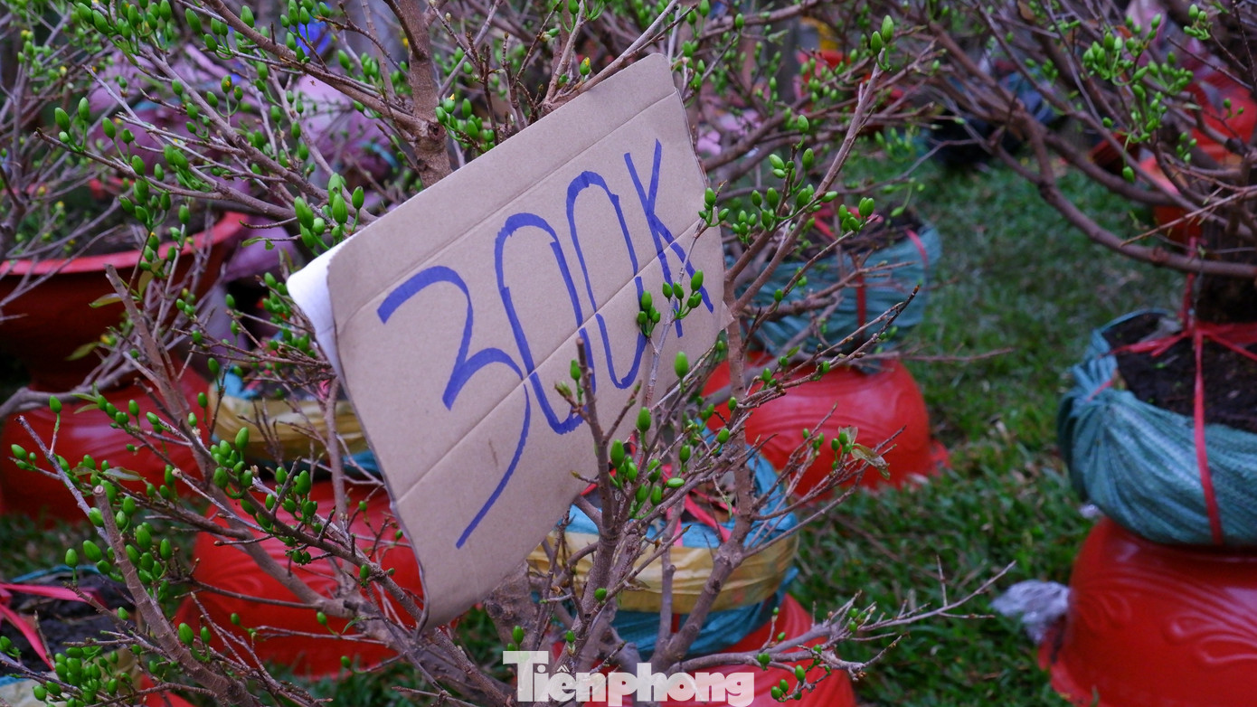 Tấp nập chợ hoa 'tr&ecirc;n bến dưới thuyền' duy nhất ở TPHCM- Ảnh 14.