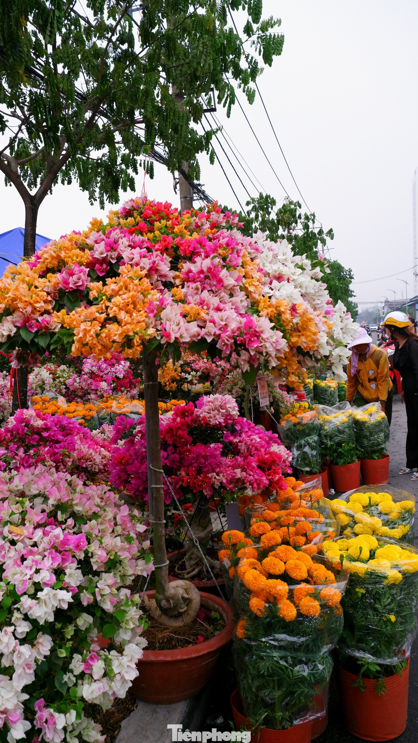Tấp nập chợ hoa 'tr&ecirc;n bến dưới thuyền' duy nhất ở TPHCM- Ảnh 13.