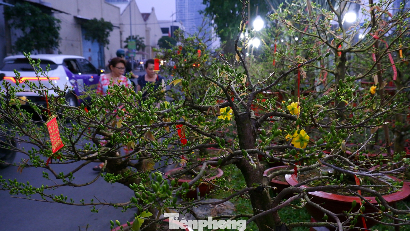 Tấp nập chợ hoa 'tr&ecirc;n bến dưới thuyền' duy nhất ở TPHCM- Ảnh 2.