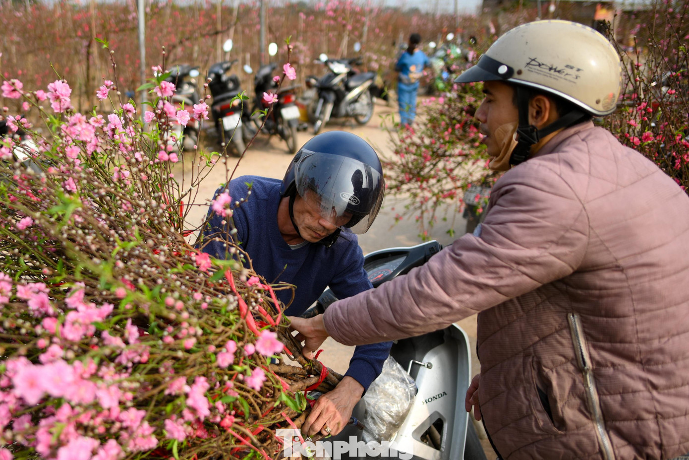 24 th&aacute;ng Chạp: Đ&agrave;o nở sớm, kh&aacute;ch thưa thớt, l&agrave;ng Nhật T&acirc;n như... mất Tết- Ảnh 9.