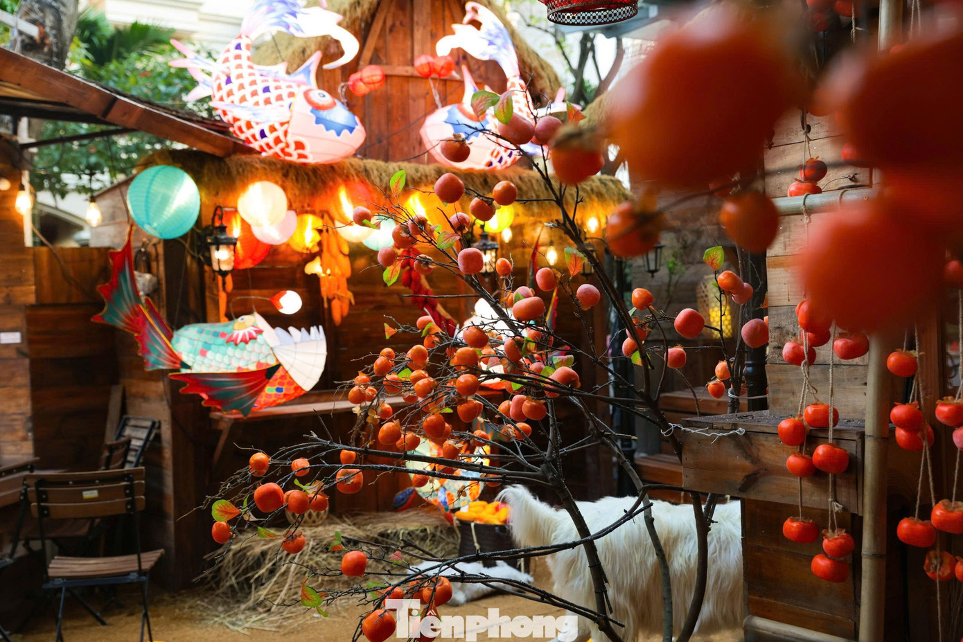 Giới trẻ Thủ đ&ocirc; check-in qu&aacute;n c&agrave; ph&ecirc; như &lsquo;phim trường Tết&rsquo;- Ảnh 2.