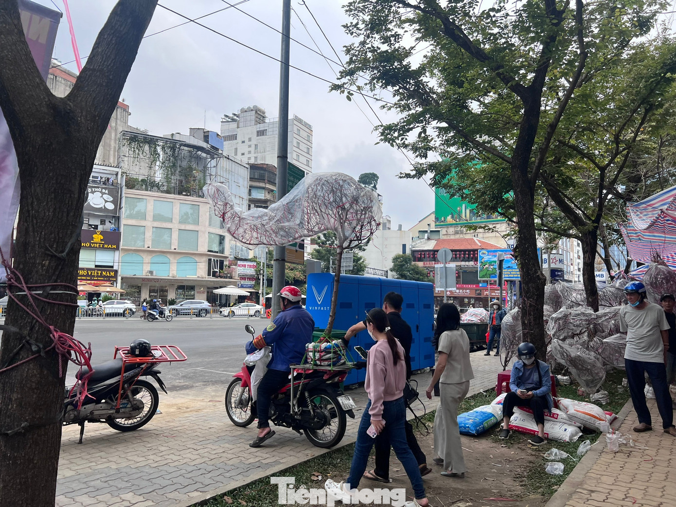 T&iacute;n hiệu bất ngờ ở 'chợ hoa đ&agrave;o' lớn nhất TPHCM- Ảnh 17.