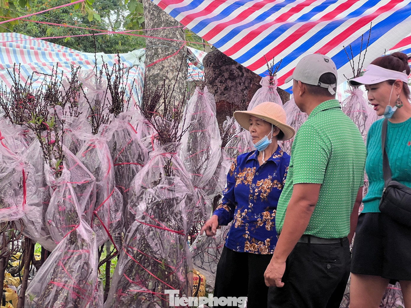 T&iacute;n hiệu bất ngờ ở 'chợ hoa đ&agrave;o' lớn nhất TPHCM- Ảnh 1.