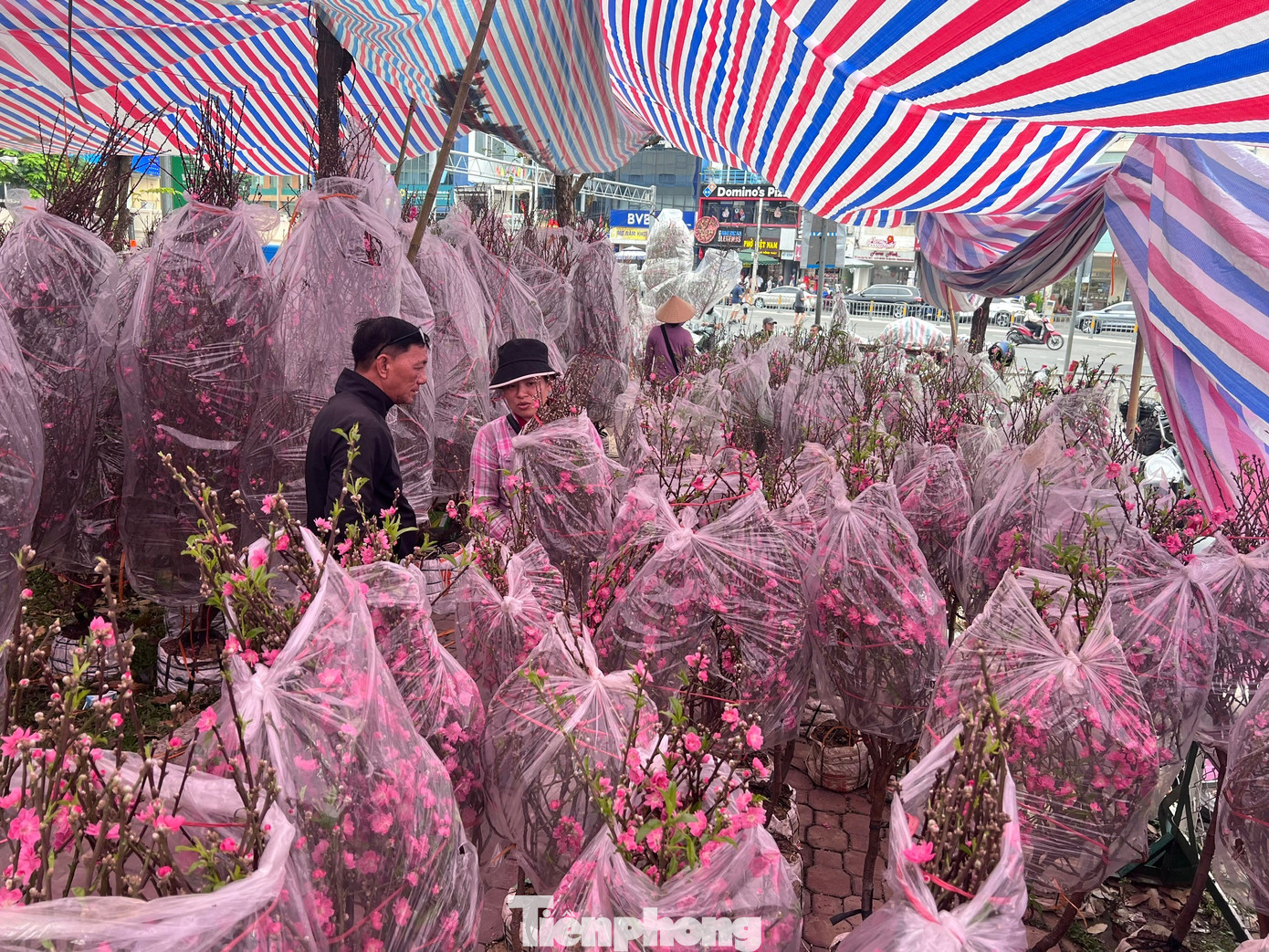 T&iacute;n hiệu bất ngờ ở 'chợ hoa đ&agrave;o' lớn nhất TPHCM- Ảnh 7.