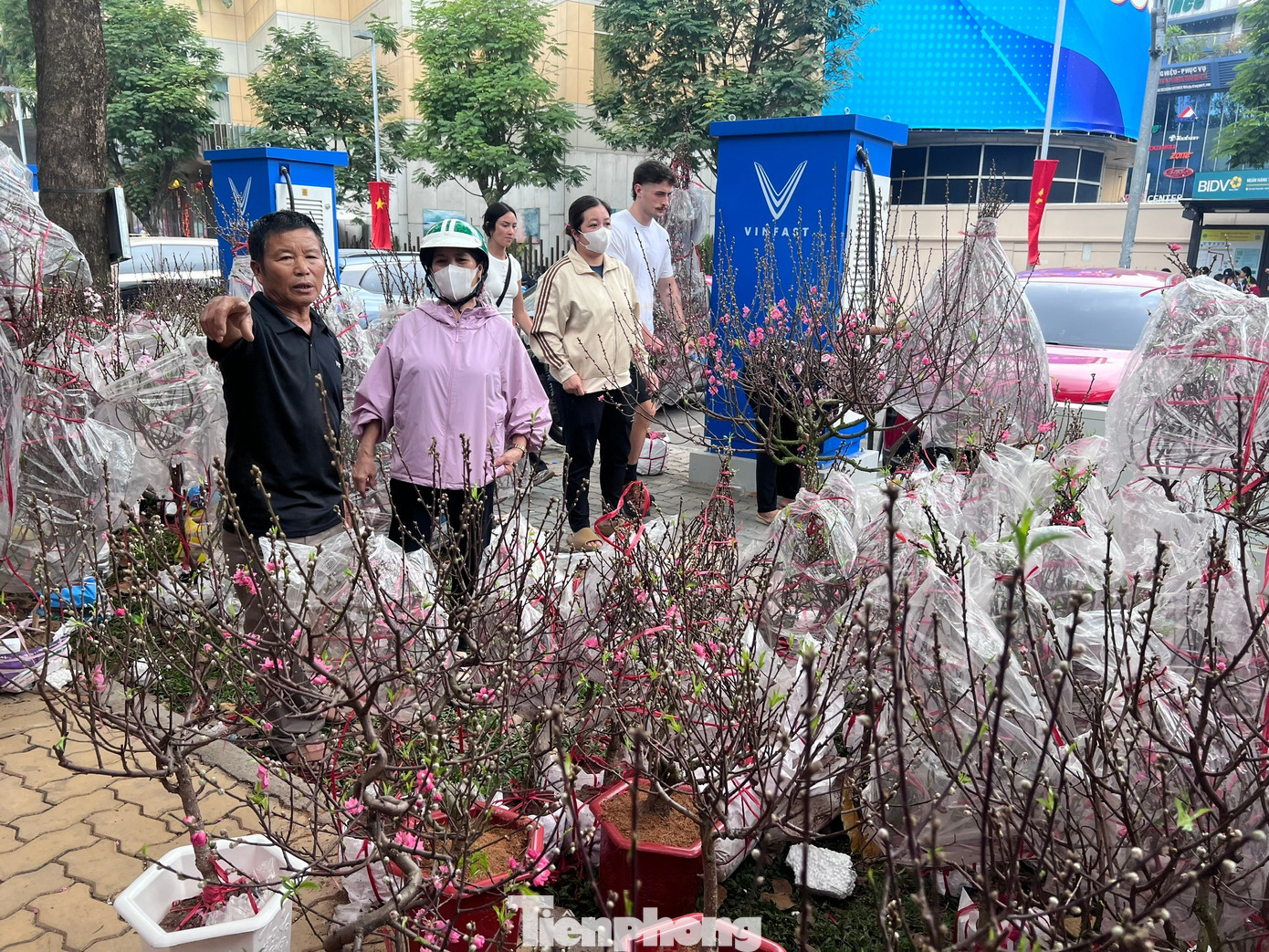 T&iacute;n hiệu bất ngờ ở 'chợ hoa đ&agrave;o' lớn nhất TPHCM- Ảnh 8.