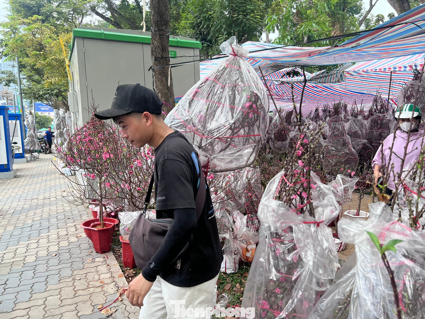 T&iacute;n hiệu bất ngờ ở 'chợ hoa đ&agrave;o' lớn nhất TPHCM- Ảnh 16.