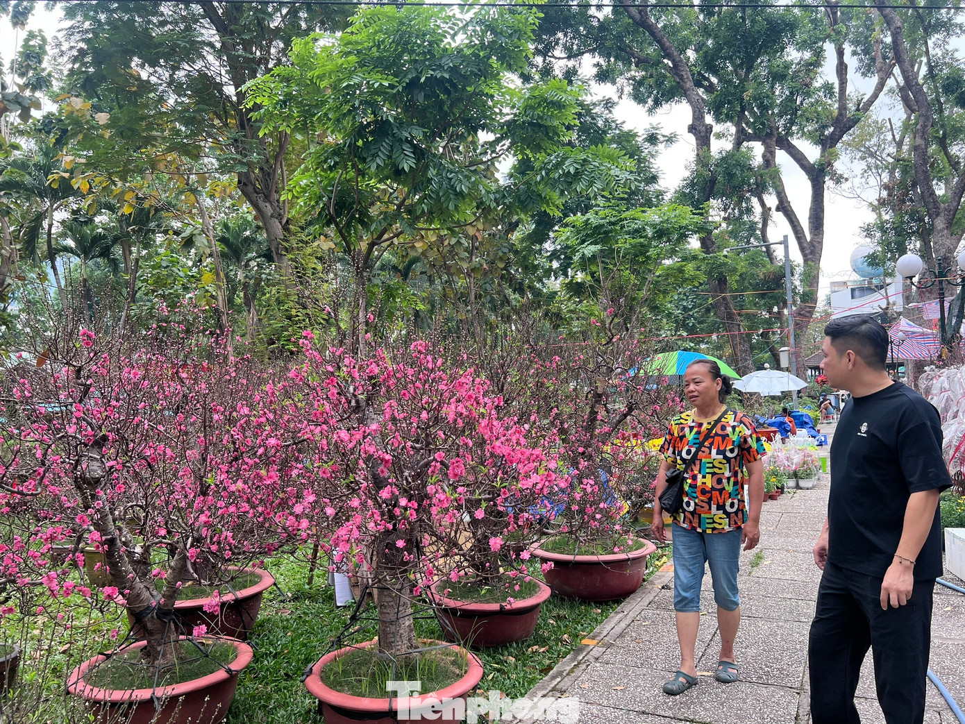 T&iacute;n hiệu bất ngờ ở 'chợ hoa đ&agrave;o' lớn nhất TPHCM- Ảnh 20.