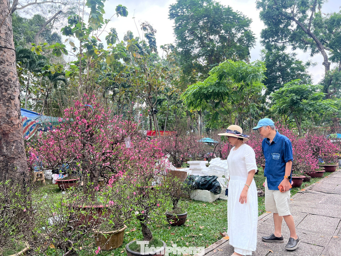 T&iacute;n hiệu bất ngờ ở 'chợ hoa đ&agrave;o' lớn nhất TPHCM- Ảnh 2.