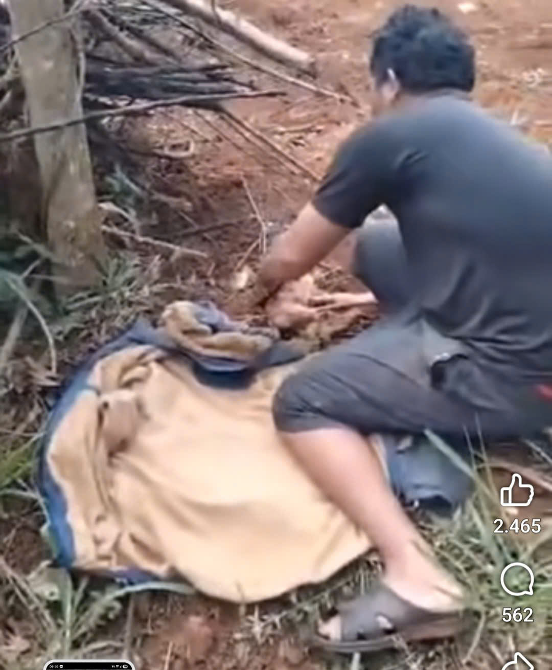 X&aacute;c định được người mẹ bỏ rơi con sơ sinh trong rẫy vắng- Ảnh 1.