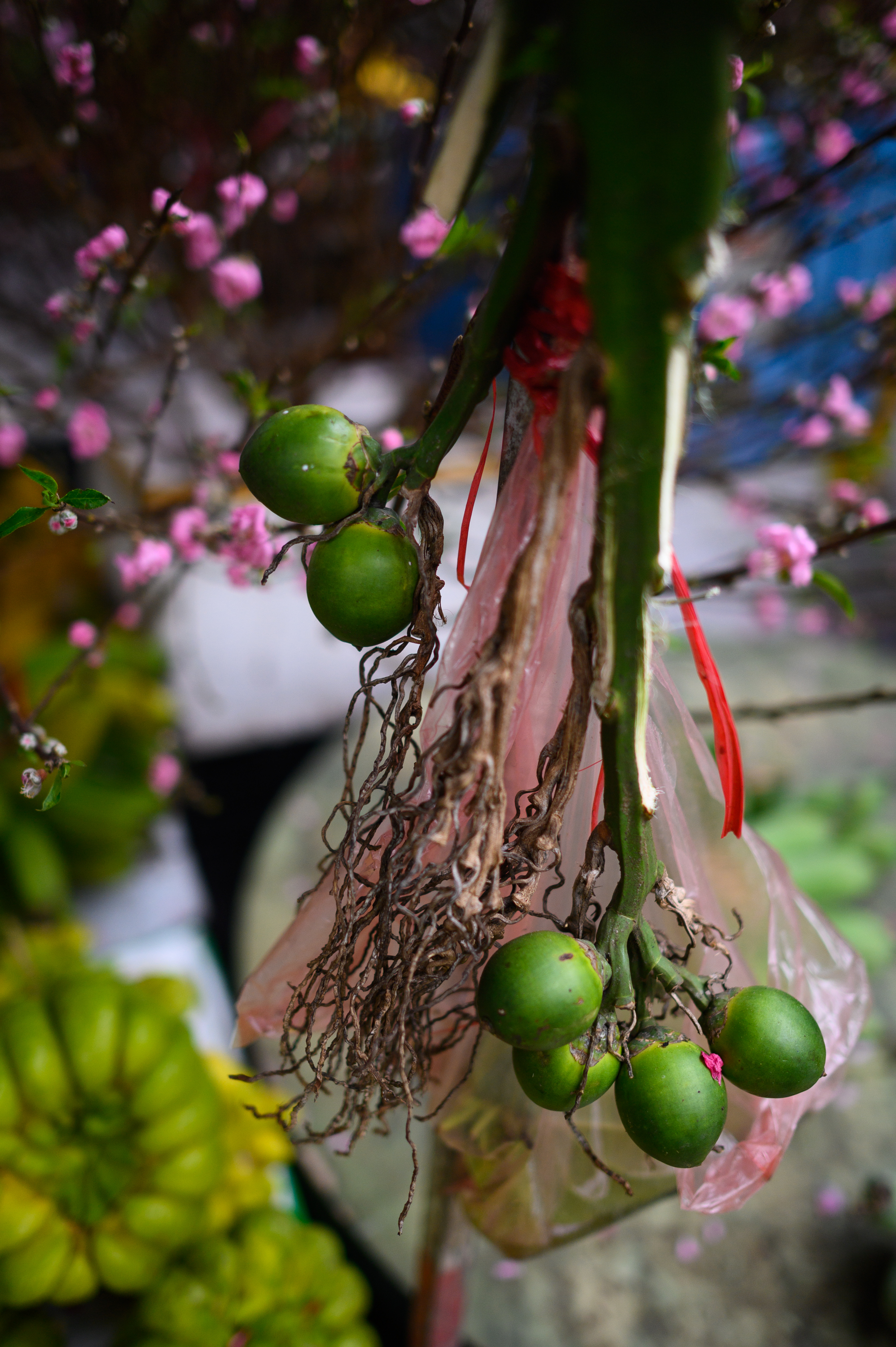 26 Tết rồi, ra m&agrave; xem H&agrave; Nội đ&atilde; cỡ n&agrave;y!- Ảnh 7.