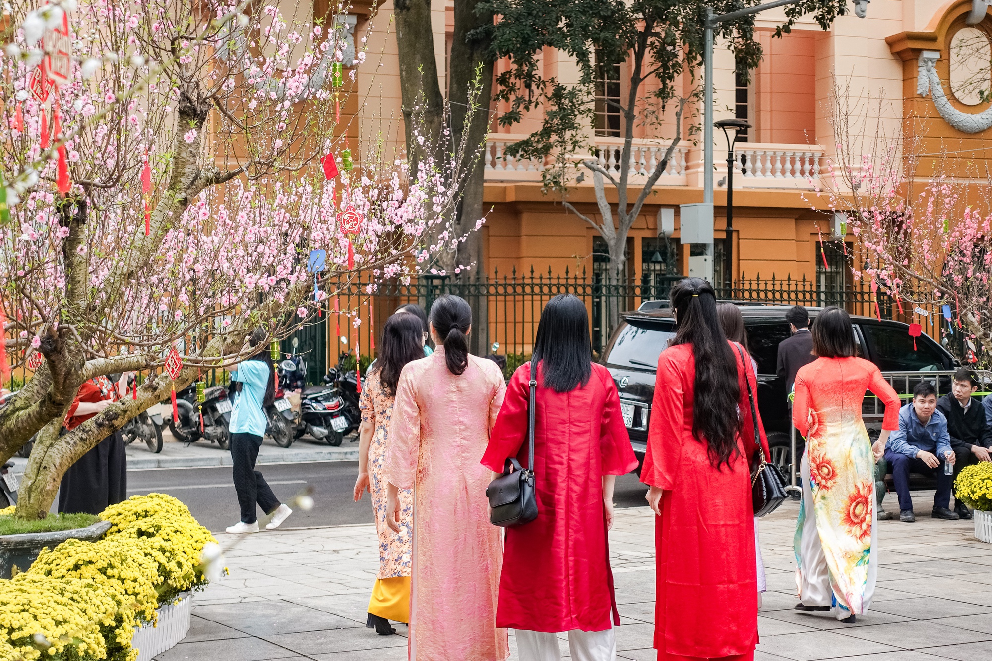 Kh&aacute;ch T&acirc;y ngỡ ng&agrave;ng trước vườn đ&agrave;o lớn chưa từng c&oacute; nằm ngay giữa trung t&acirc;m H&agrave; Nội- Ảnh 20.