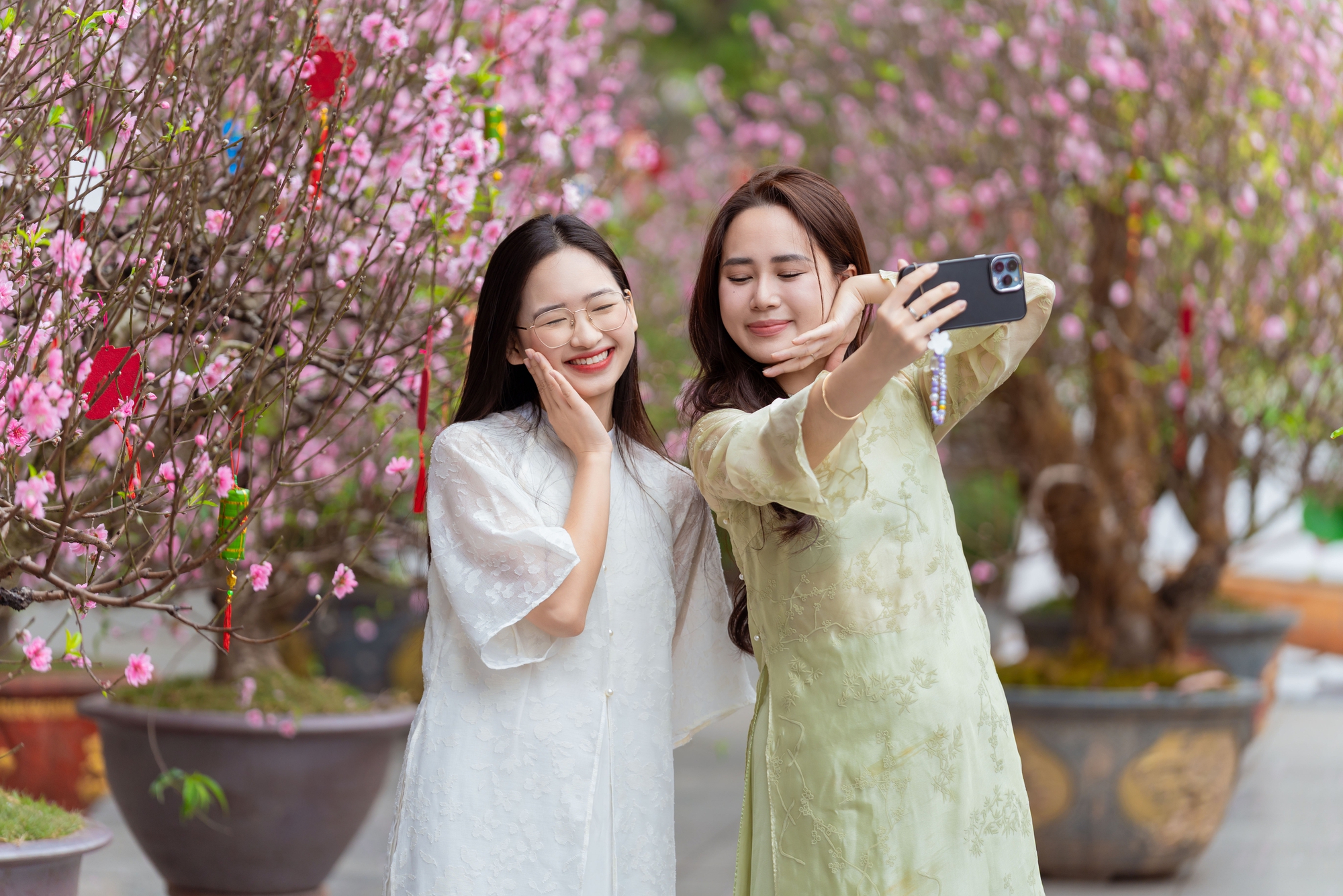 Kh&aacute;ch T&acirc;y ngỡ ng&agrave;ng trước vườn đ&agrave;o lớn chưa từng c&oacute; nằm ngay giữa trung t&acirc;m H&agrave; Nội- Ảnh 22.