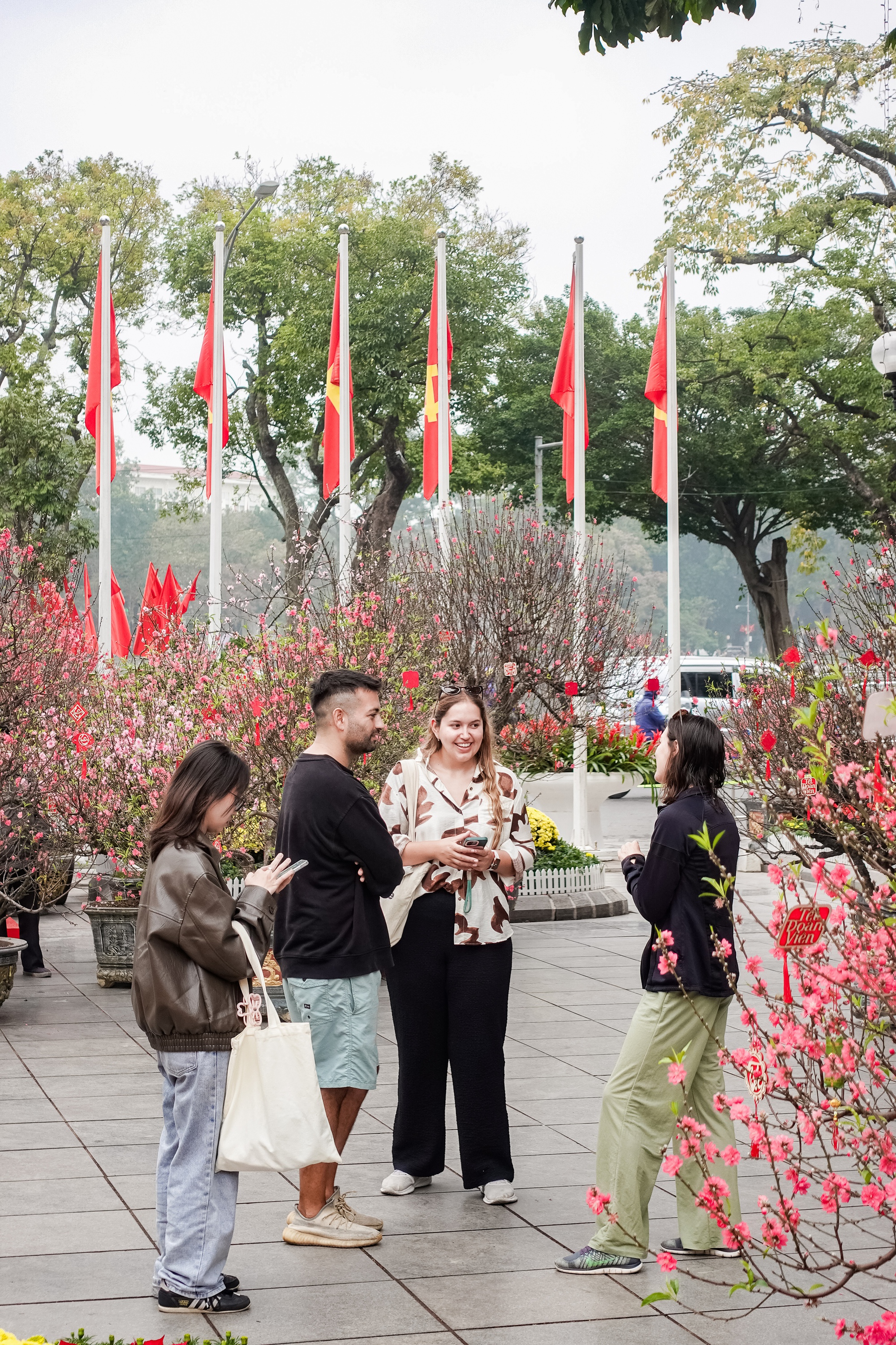 Kh&aacute;ch T&acirc;y ngỡ ng&agrave;ng trước vườn đ&agrave;o lớn chưa từng c&oacute; nằm ngay giữa trung t&acirc;m H&agrave; Nội- Ảnh 2.