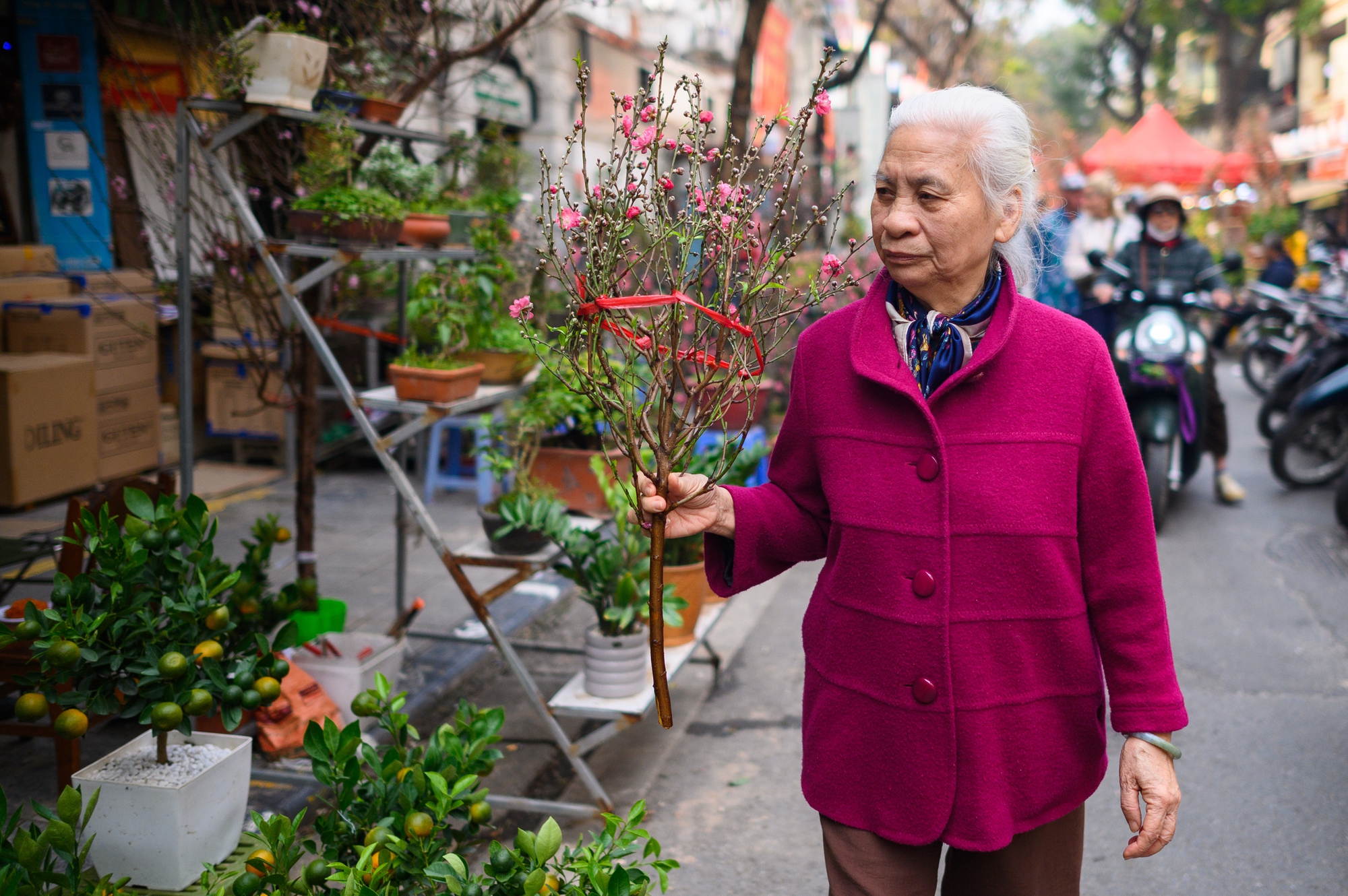 26 Tết rồi, ra m&agrave; xem H&agrave; Nội đ&atilde; cỡ n&agrave;y!- Ảnh 19.