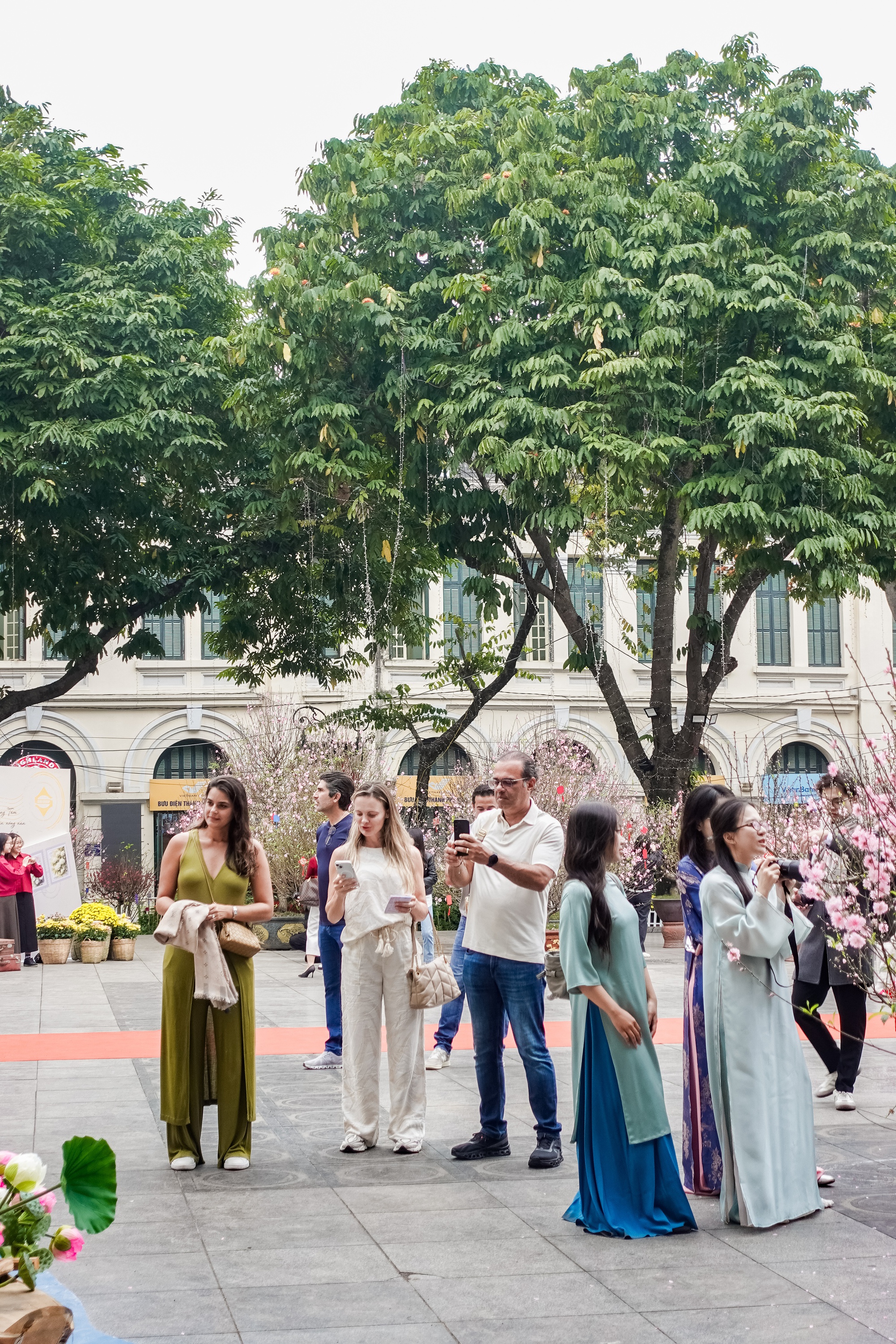 Kh&aacute;ch T&acirc;y ngỡ ng&agrave;ng trước vườn đ&agrave;o lớn chưa từng c&oacute; nằm ngay giữa trung t&acirc;m H&agrave; Nội- Ảnh 15.