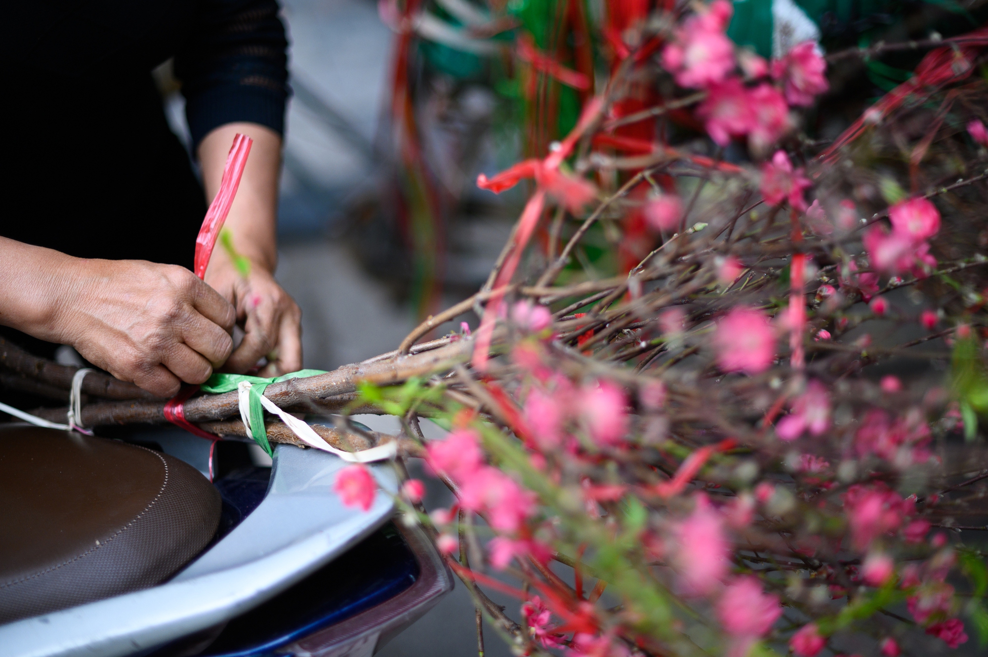 26 Tết rồi, ra m&agrave; xem H&agrave; Nội đ&atilde; cỡ n&agrave;y!- Ảnh 25.