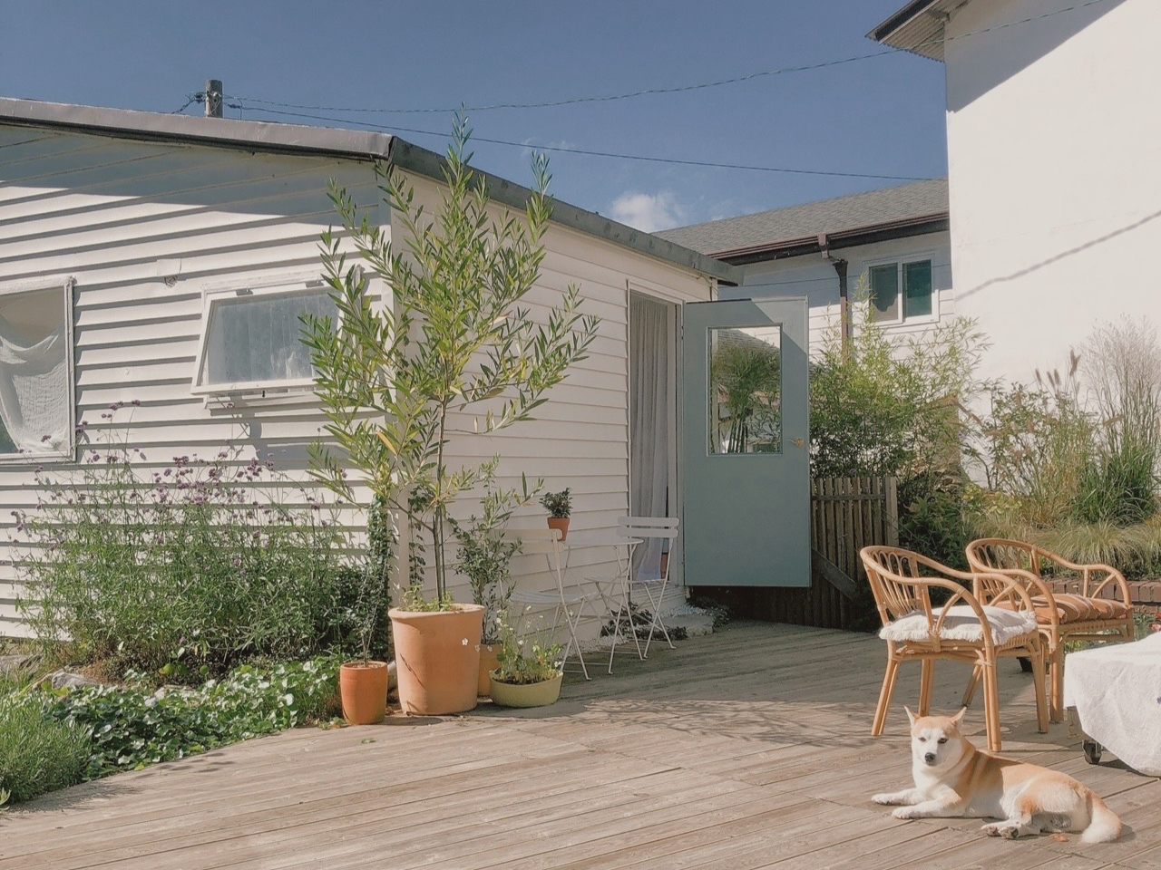 Bỏ phố về qu&ecirc; cải tạo nh&agrave; 30 năm tuổi: Mẹ hai con biến căn nh&agrave; cũ th&agrave;nh biệt thự nghỉ dưỡng, ai nh&igrave;n cũng muốn chuyển đến ở- Ảnh 20.