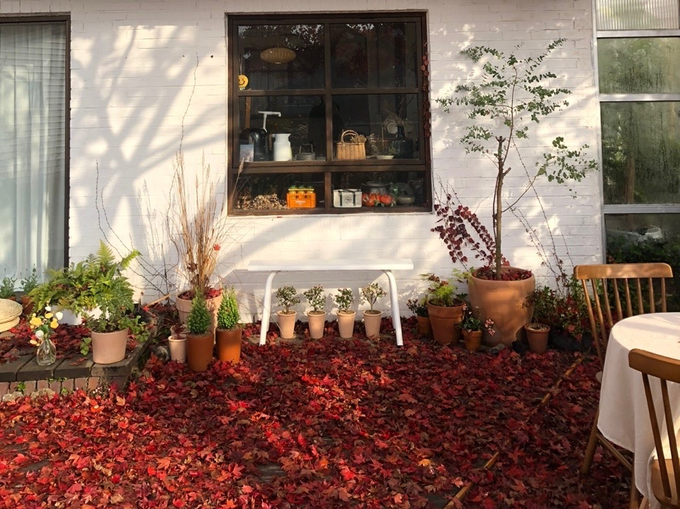 Bỏ phố về qu&ecirc; cải tạo nh&agrave; 30 năm tuổi: Mẹ hai con biến căn nh&agrave; cũ th&agrave;nh biệt thự nghỉ dưỡng, ai nh&igrave;n cũng muốn chuyển đến ở- Ảnh 11.