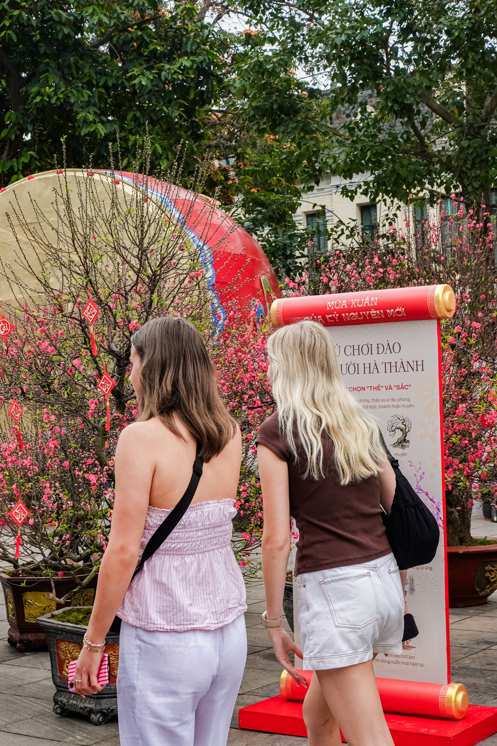 Kh&aacute;ch T&acirc;y ngỡ ng&agrave;ng trước vườn đ&agrave;o lớn chưa từng c&oacute; nằm ngay giữa trung t&acirc;m H&agrave; Nội- Ảnh 4.