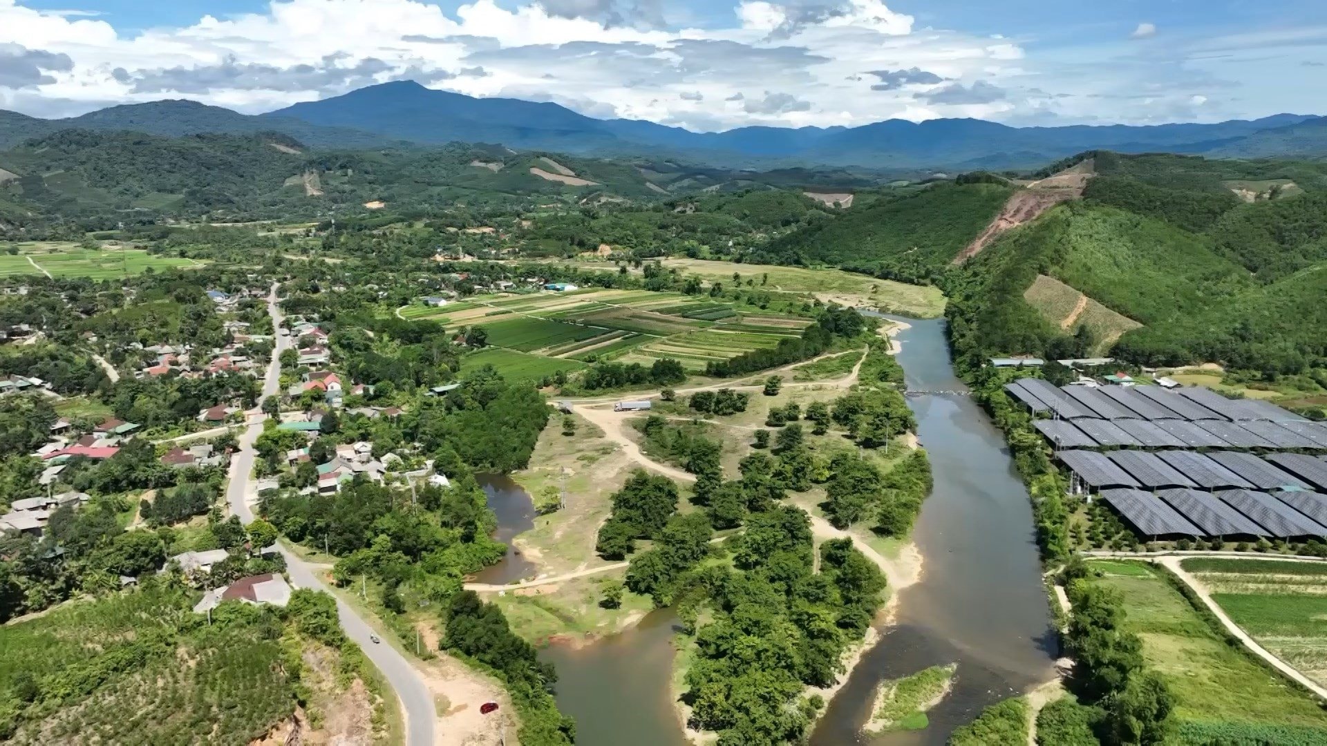 Sau c&uacute; trắng tay, chủ trang trại H&agrave; Tĩnh x&acirc;y 'kho bạc' giữa đồi hoang: Sở hữu 7 vạn gốc 'nh&acirc;n s&acirc;m cho người ngh&egrave;o' đang chờ b&aacute;n- Ảnh 2.