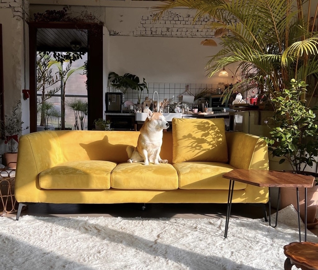 Bỏ phố về qu&ecirc; cải tạo nh&agrave; 30 năm tuổi: Mẹ hai con biến căn nh&agrave; cũ th&agrave;nh biệt thự nghỉ dưỡng, ai nh&igrave;n cũng muốn chuyển đến ở- Ảnh 15.