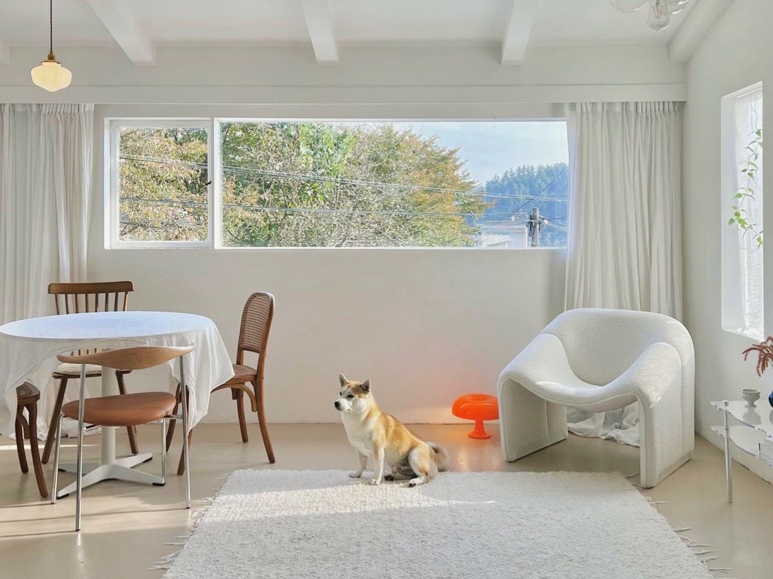 Bỏ phố về qu&ecirc; cải tạo nh&agrave; 30 năm tuổi: Mẹ hai con biến căn nh&agrave; cũ th&agrave;nh biệt thự nghỉ dưỡng, ai nh&igrave;n cũng muốn chuyển đến ở- Ảnh 19.