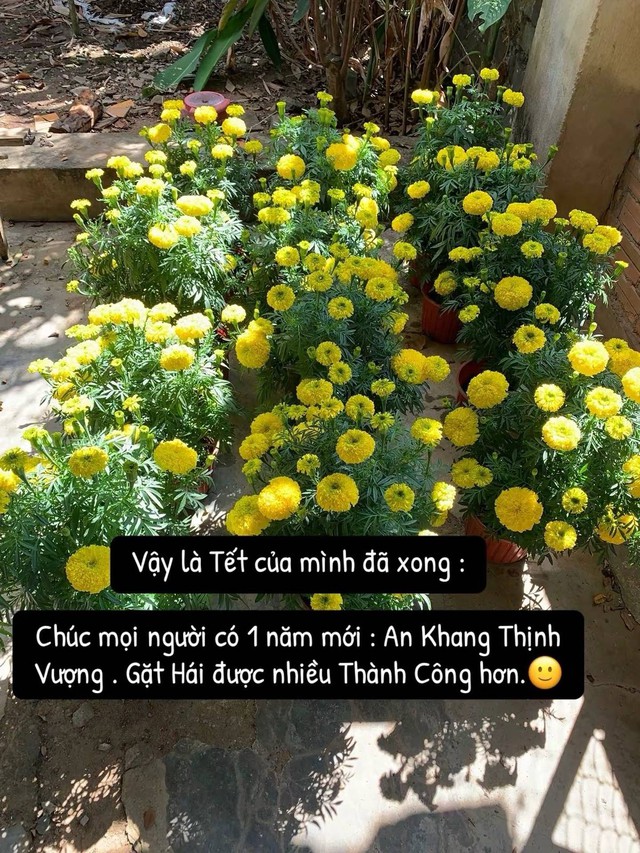 &ldquo;Vậy l&agrave; Tết của m&igrave;nh đ&atilde; xong&rdquo;: C&acirc;u chuyện &aacute;m ảnh nhất những ng&agrave;y cận Tết nhất định bạn phải đọc!- Ảnh 3.