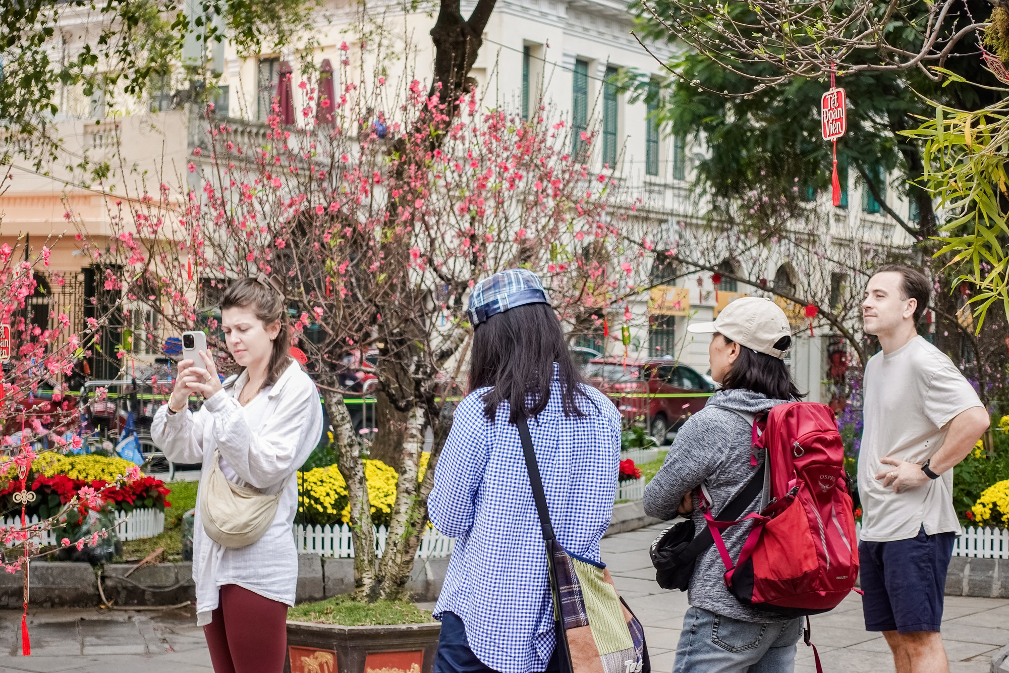 Kh&aacute;ch T&acirc;y ngỡ ng&agrave;ng trước vườn đ&agrave;o lớn chưa từng c&oacute; nằm ngay giữa trung t&acirc;m H&agrave; Nội- Ảnh 7.