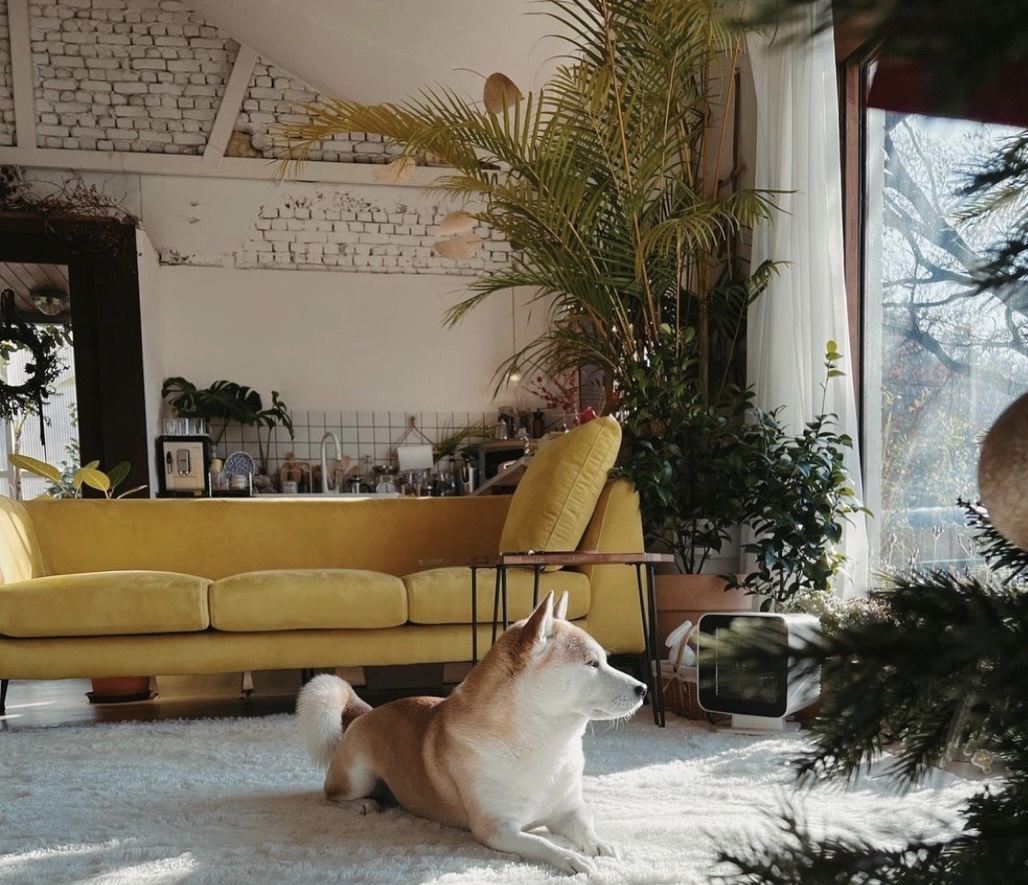 Bỏ phố về qu&ecirc; cải tạo nh&agrave; 30 năm tuổi: Mẹ hai con biến căn nh&agrave; cũ th&agrave;nh biệt thự nghỉ dưỡng, ai nh&igrave;n cũng muốn chuyển đến ở- Ảnh 14.