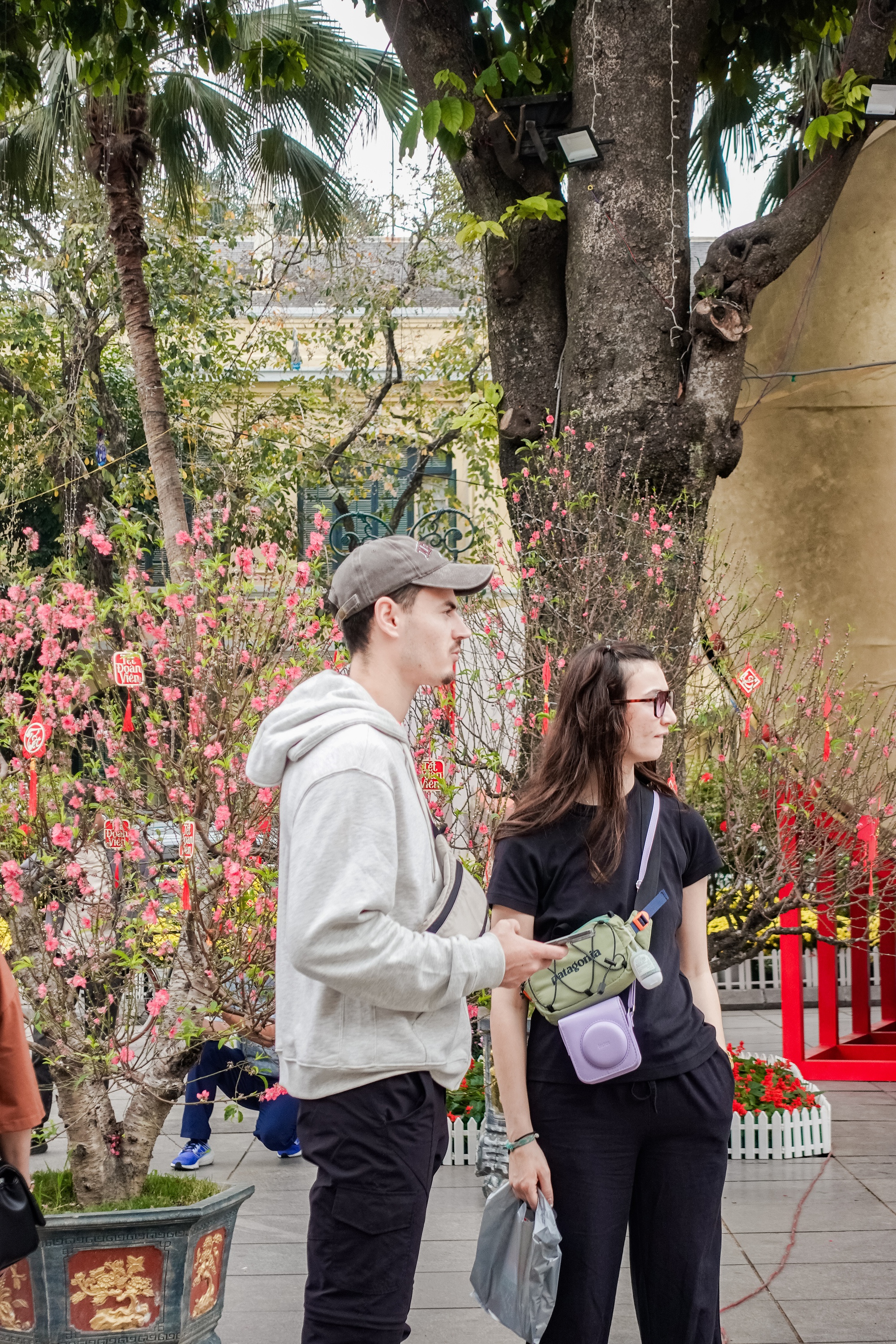 Kh&aacute;ch T&acirc;y ngỡ ng&agrave;ng trước vườn đ&agrave;o lớn chưa từng c&oacute; nằm ngay giữa trung t&acirc;m H&agrave; Nội- Ảnh 8.