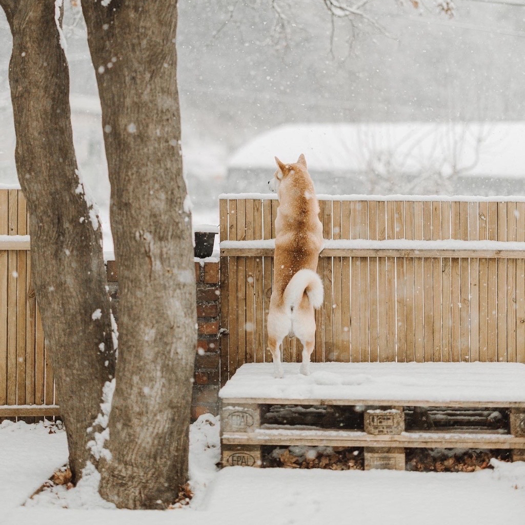 Bỏ phố về qu&ecirc; cải tạo nh&agrave; 30 năm tuổi: Mẹ hai con biến căn nh&agrave; cũ th&agrave;nh biệt thự nghỉ dưỡng, ai nh&igrave;n cũng muốn chuyển đến ở- Ảnh 9.