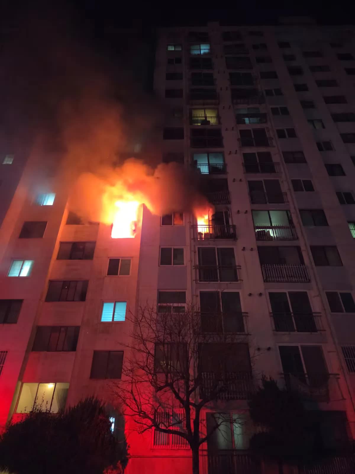 Hoả hoạn tại chung cư ở Busan khiến 2 người thiệt mạng- Ảnh 1.