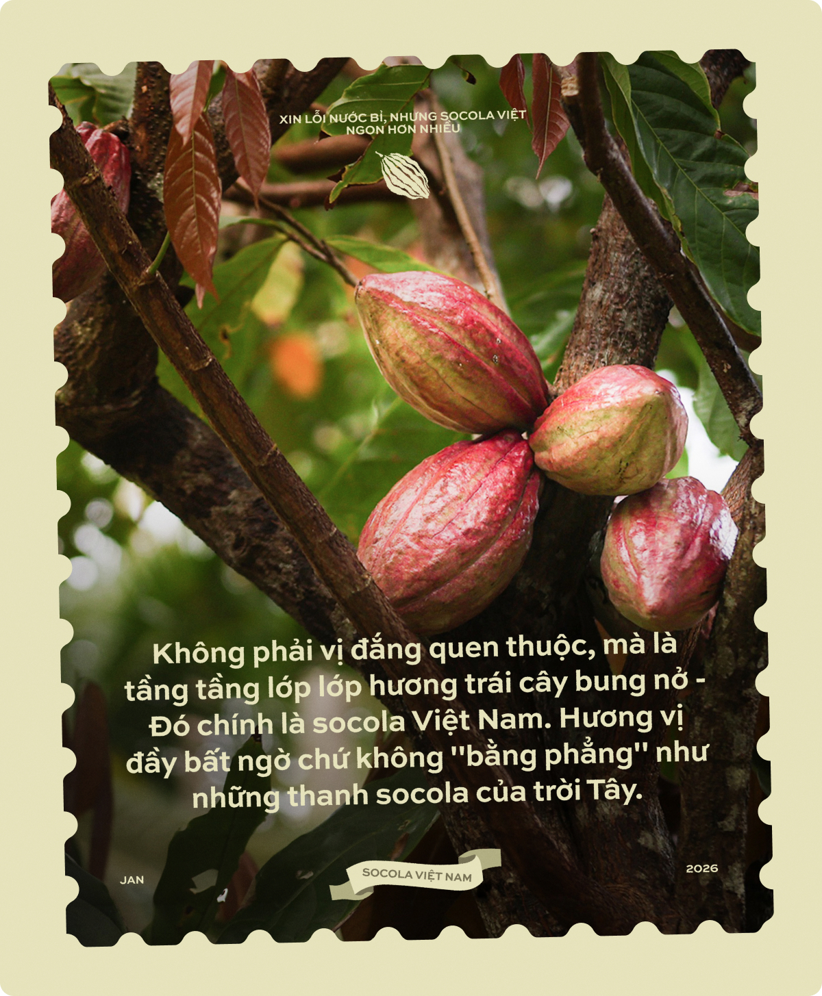 "Xin lỗi nước Bỉ, nhưng Socola Việt ngon hơn nhiều"- Ảnh 1.