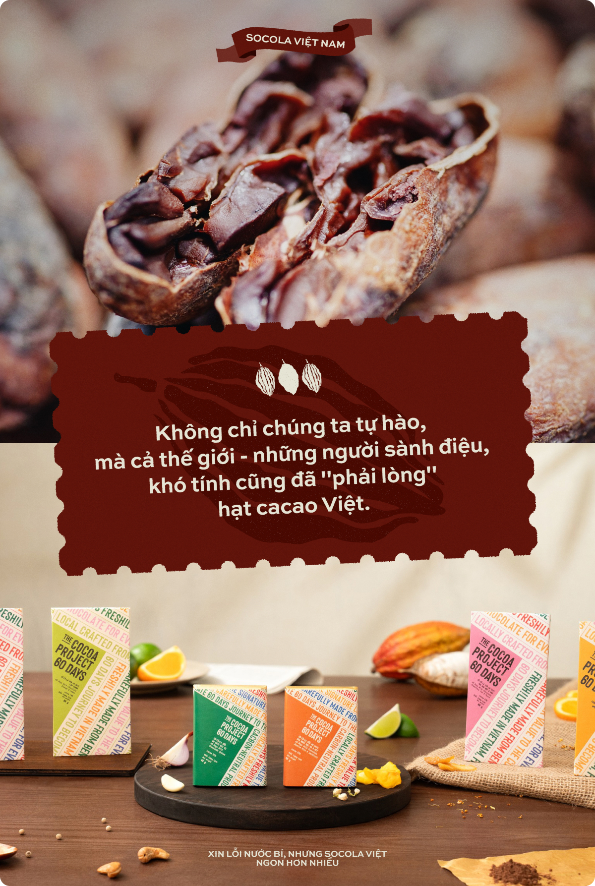 "Xin lỗi nước Bỉ, nhưng Socola Việt ngon hơn nhiều"- Ảnh 8.