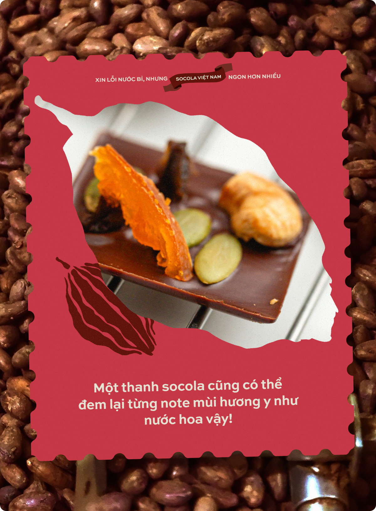 "Xin lỗi nước Bỉ, nhưng Socola Việt ngon hơn nhiều"- Ảnh 9.