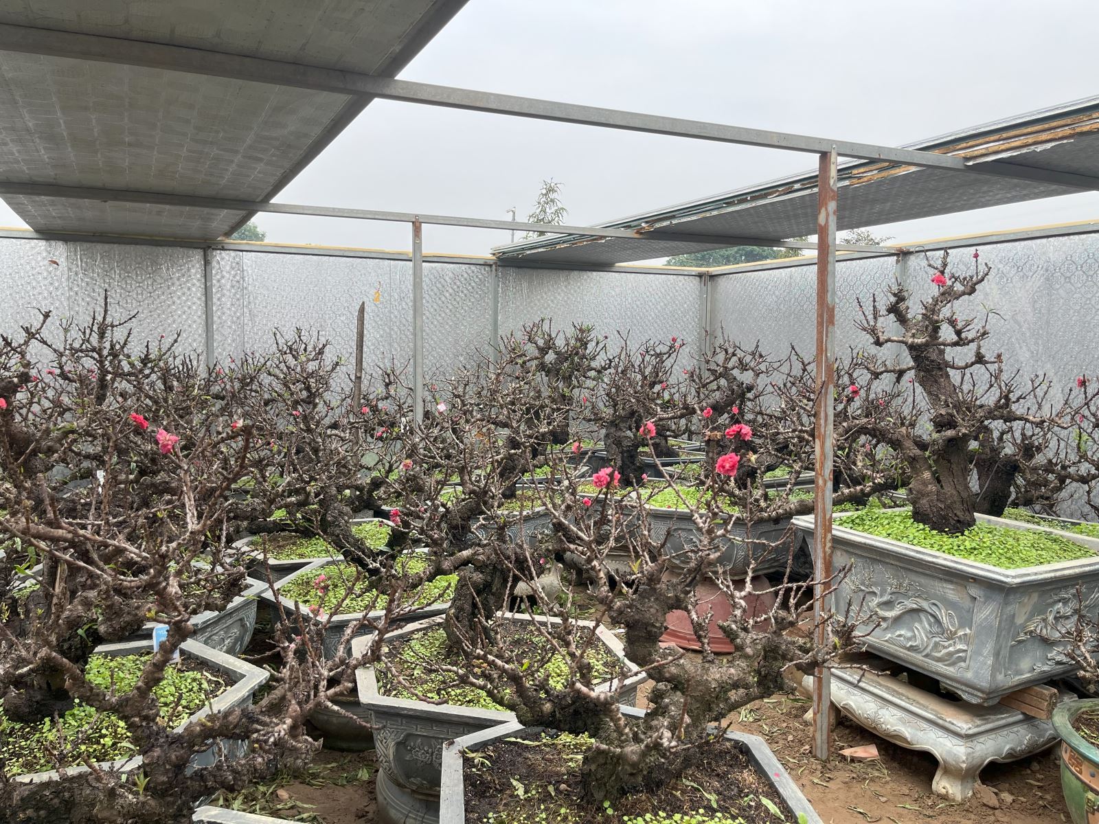 Việt Nam c&oacute; 