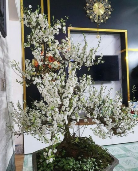 Đã tìm ra Đã tìm ra