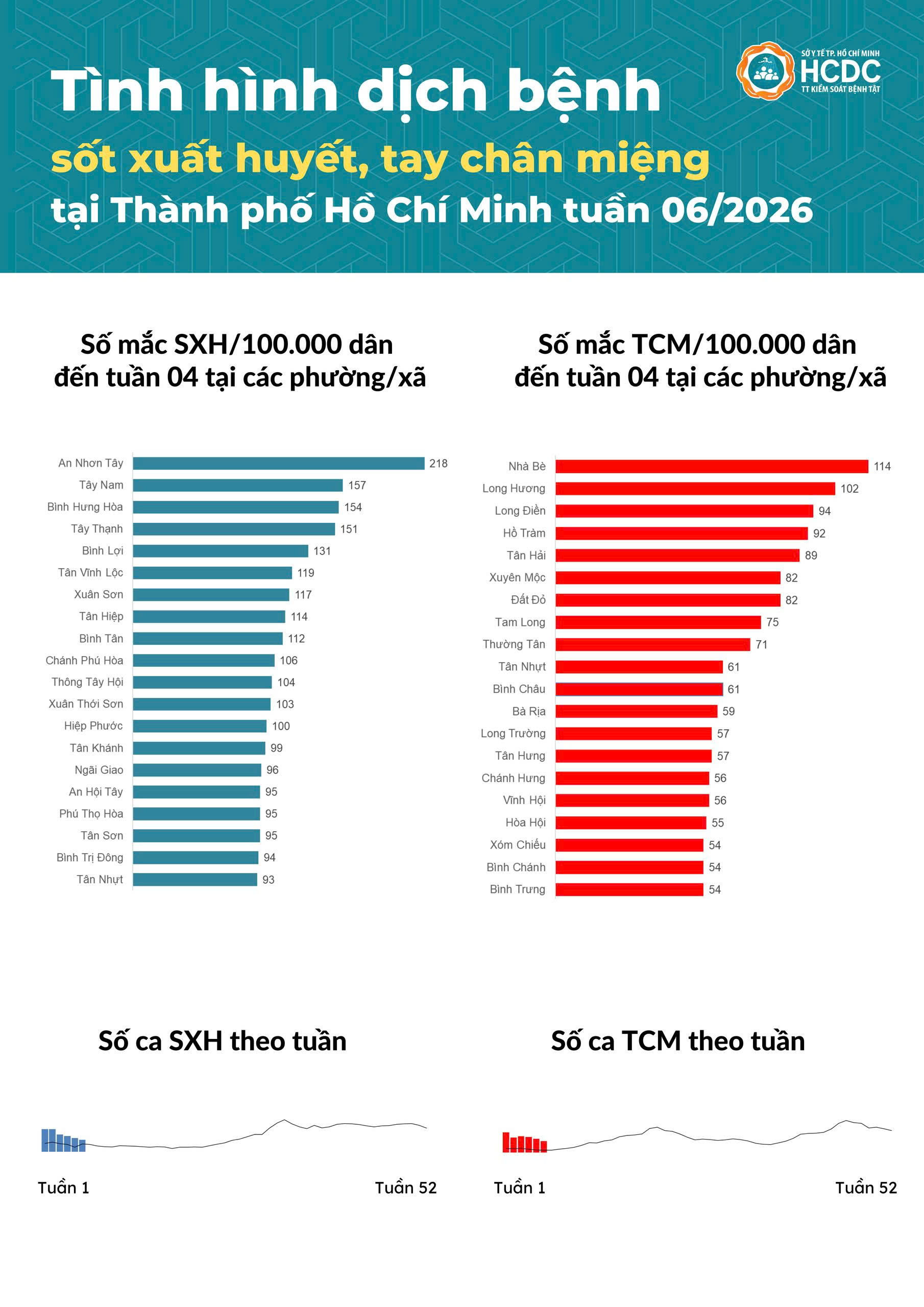 Sốt xuất huyết và tay chân miệng tại TP Hồ Chí Minh giảm mạnh- Ảnh 2.
