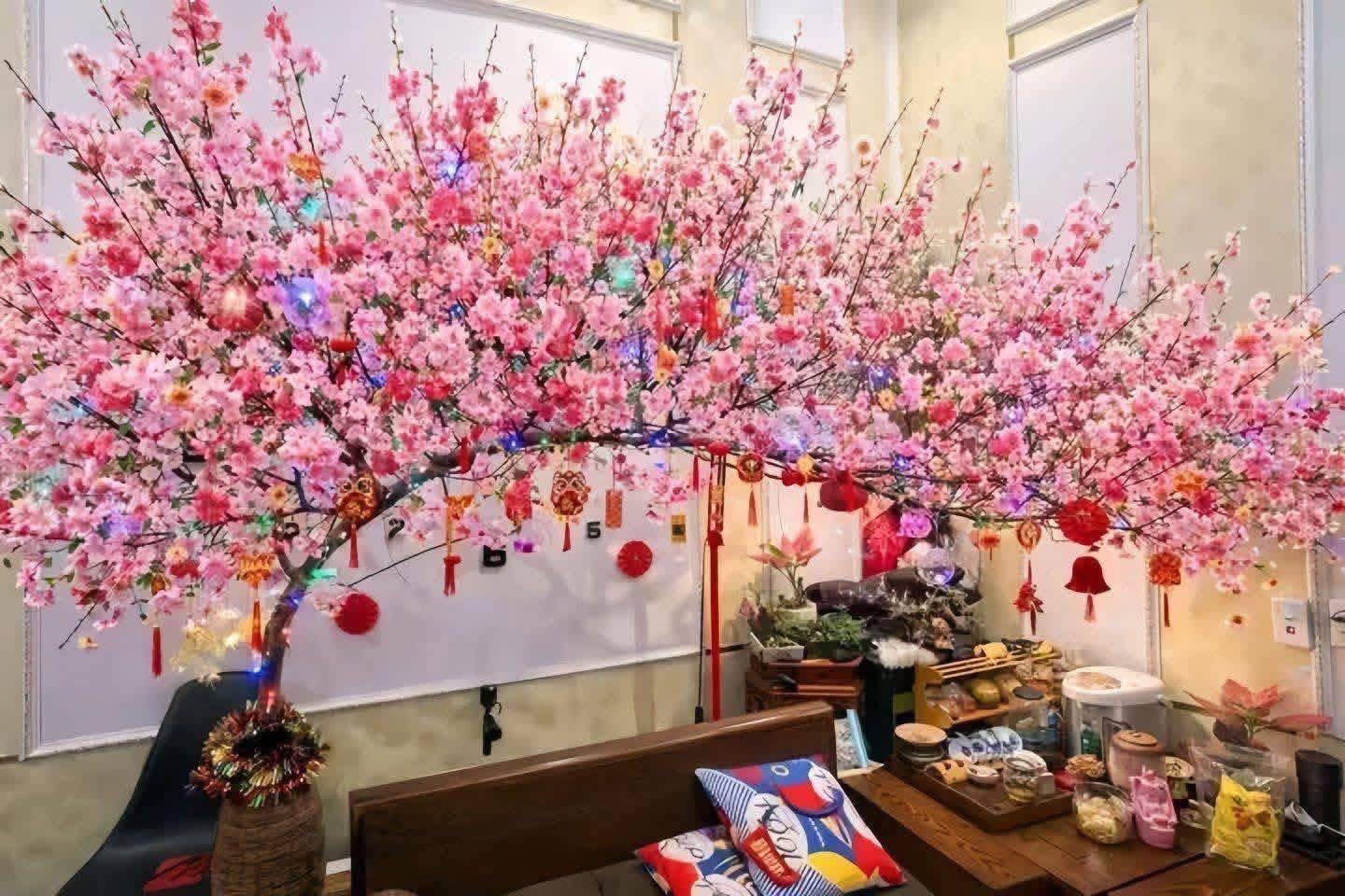 Miền Bắc l&uacute;c n&agrave;y: Đ&agrave;o chưa kịp Tết đ&atilde; bung hết hoa, cả c&otilde;i mạng xin nhau tips &ldquo;ho&atilde;n lại c&aacute;i sự xinh đẹp ấy&rdquo;- Ảnh 1.